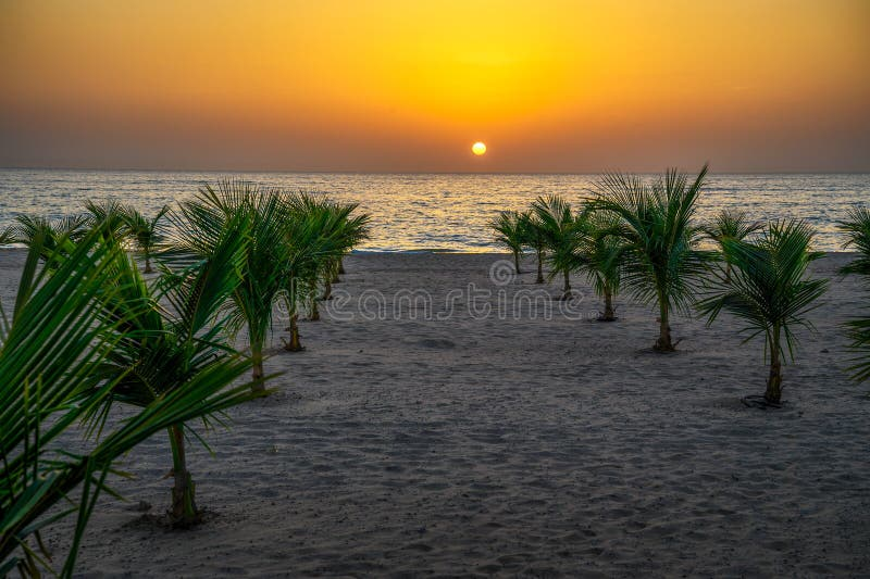 Plage au crépuscule